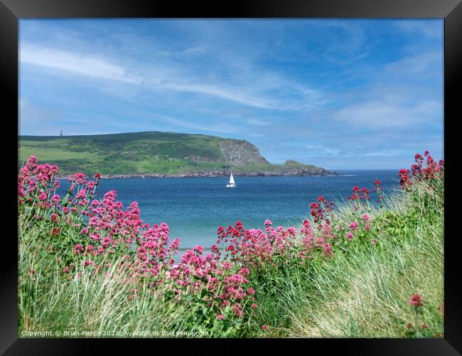 Daymer Bay and Stepper Point  Framed Print by Brian Pierce