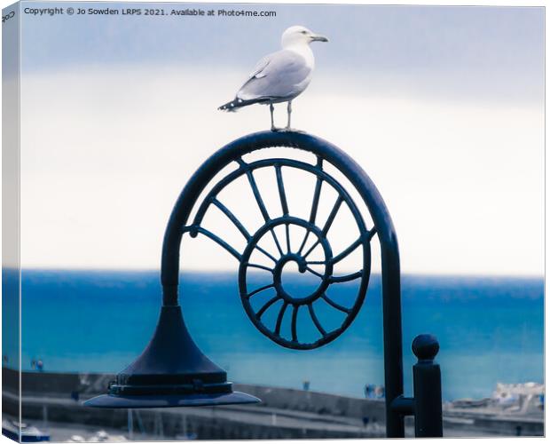 Lyme Regis Seagull Canvas Print by Jo Sowden