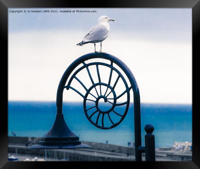 Lyme Regis Seagull Framed Print by Jo Sowden