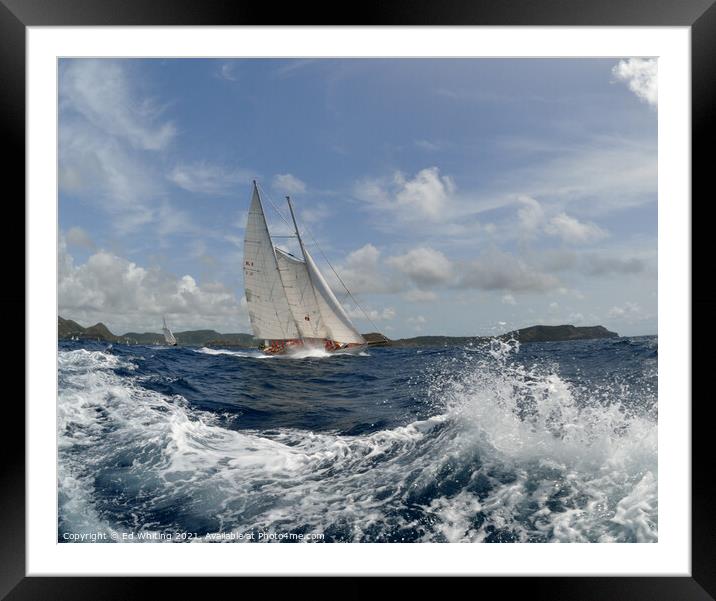White sails Framed Mounted Print by Ed Whiting
