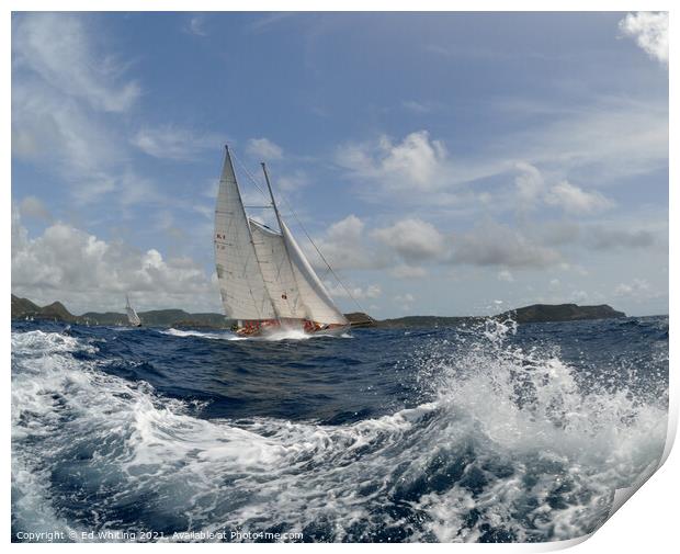White sails Print by Ed Whiting