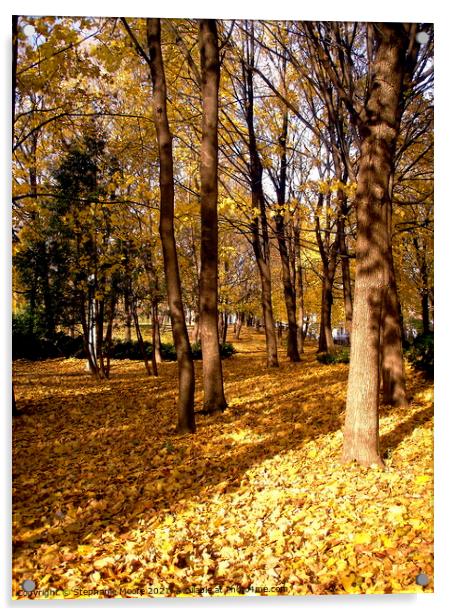 Golden Fall Acrylic by Stephanie Moore