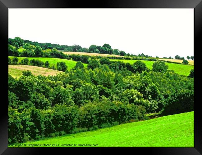The hills of Douglas Framed Print by Stephanie Moore