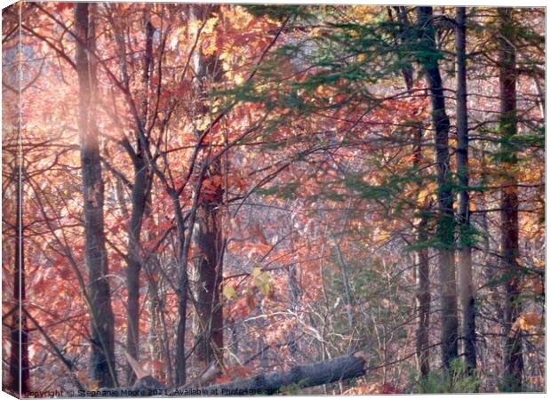 Impenetrable Forest Canvas Print by Stephanie Moore