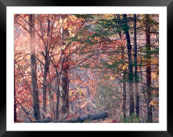 Impenetrable Forest Framed Mounted Print by Stephanie Moore
