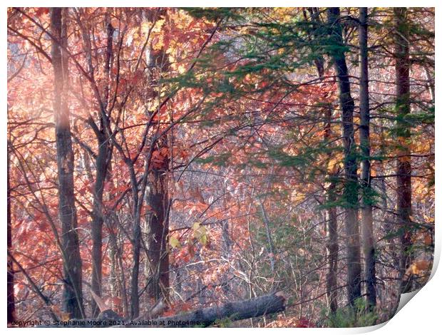 Impenetrable Forest Print by Stephanie Moore
