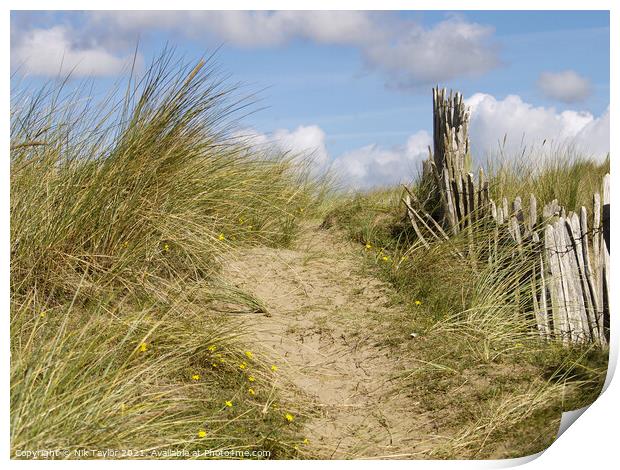 footpath to the beach Print by Nik Taylor