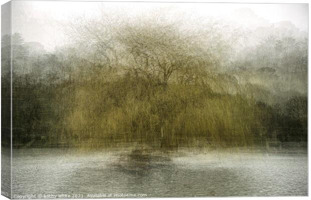 Weeping willow,Portrait of a tree impressionism  Canvas Print by kathy white