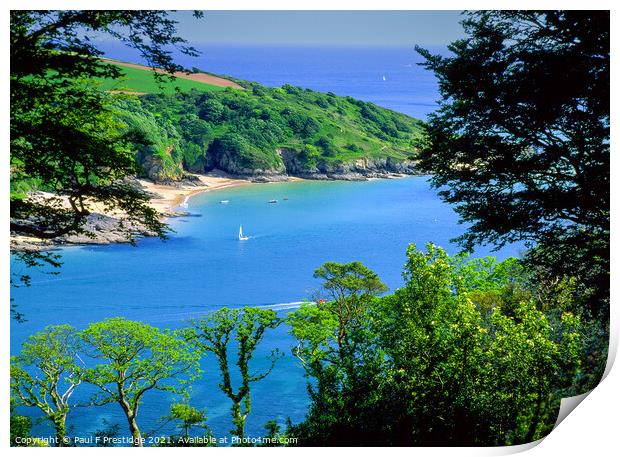 Salcombe Estuary Mouth Print by Paul F Prestidge