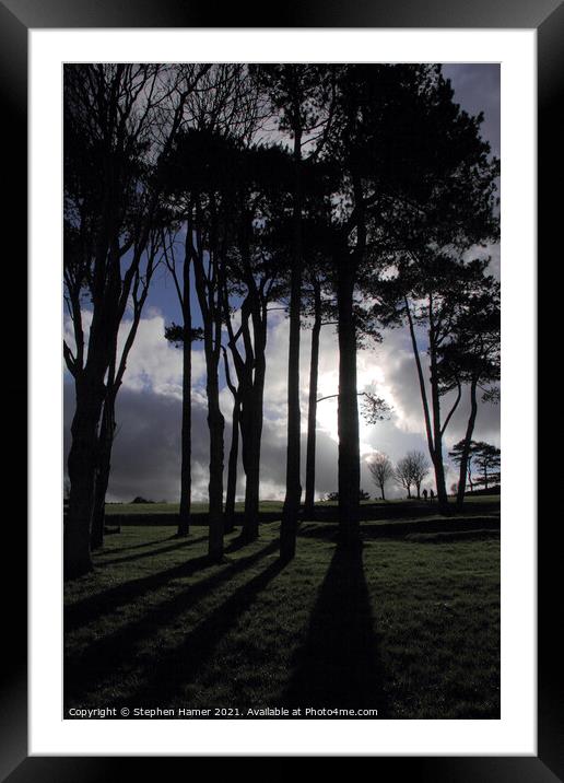 Tree's Slhouetted & Shadow's Framed Mounted Print by Stephen Hamer