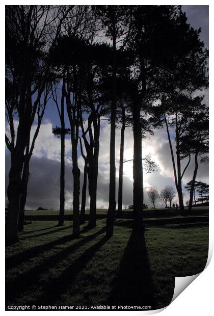 Tree's Slhouetted & Shadow's Print by Stephen Hamer