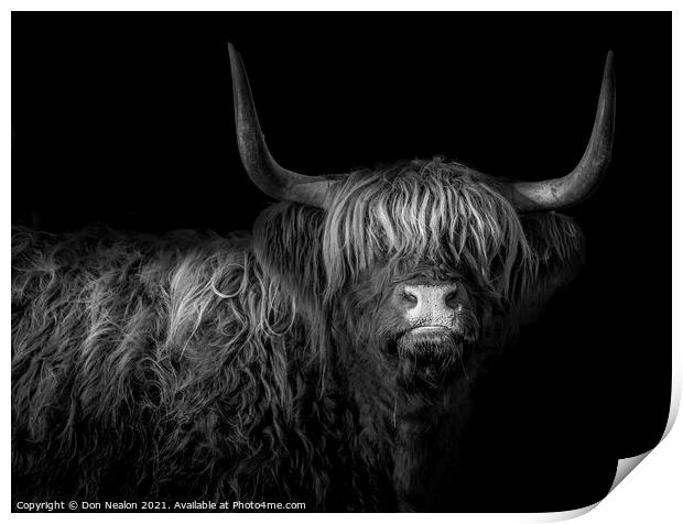 Highland fringe Print by Don Nealon