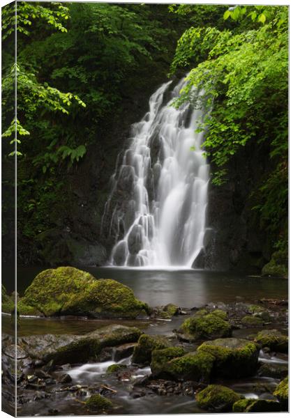 Waterfall in Antrim, Northern Ireland Canvas Print by Christopher Stores
