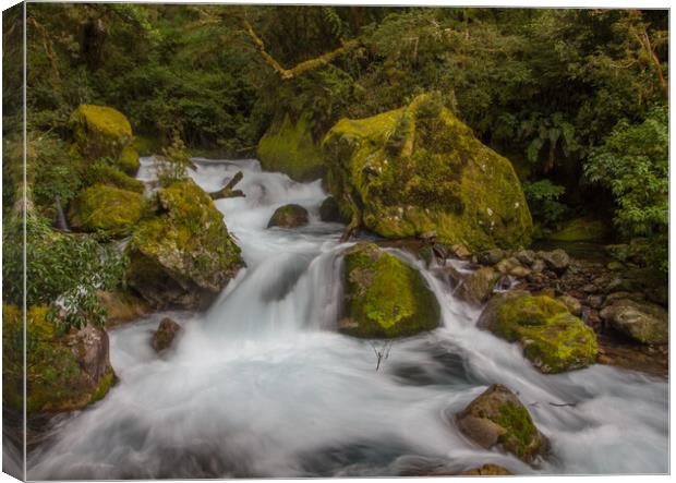 Waterfall in the South Island of New Zealand Canvas Print by Christopher Stores