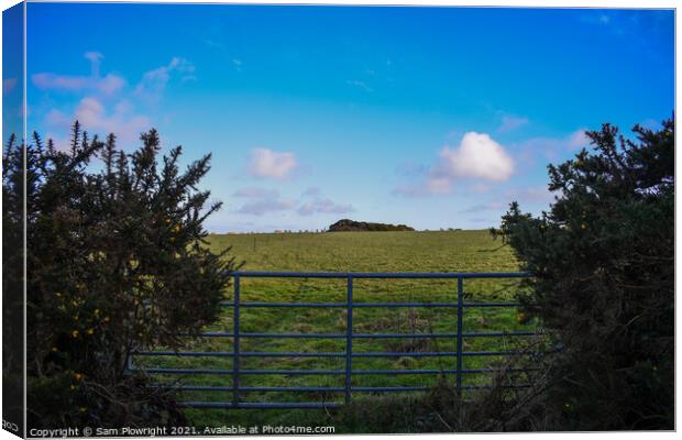 View out towards Carn Marth in Cornwall  Canvas Print by Sam Plowright