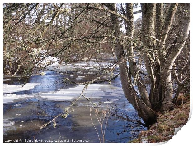 Icy River Nethy Print by Thelma Blewitt
