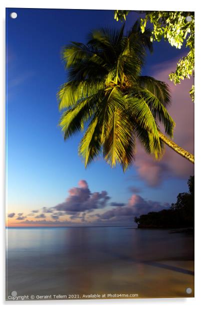 Twilight, Almond Morgan Bay, St Lucia, Caribbean Acrylic by Geraint Tellem ARPS