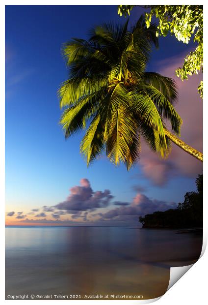 Twilight, Almond Morgan Bay, St Lucia, Caribbean Print by Geraint Tellem ARPS