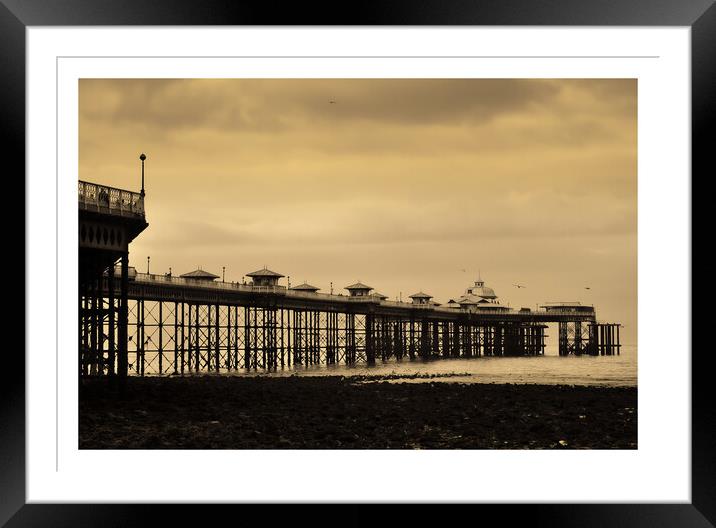 blackpool pier with an antiquated look. 249 Framed Mounted Print by PHILIP CHALK