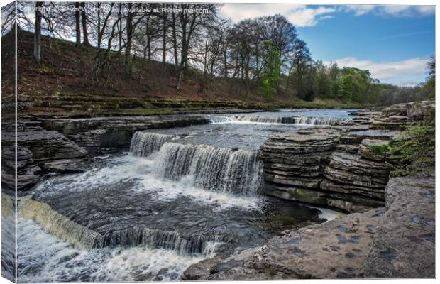 Falls of Yorkshire Canvas Print by Kevin White