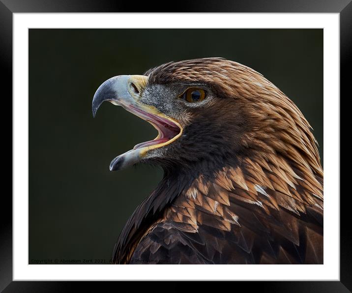 Golden Eagle III Framed Mounted Print by Abeselom Zerit