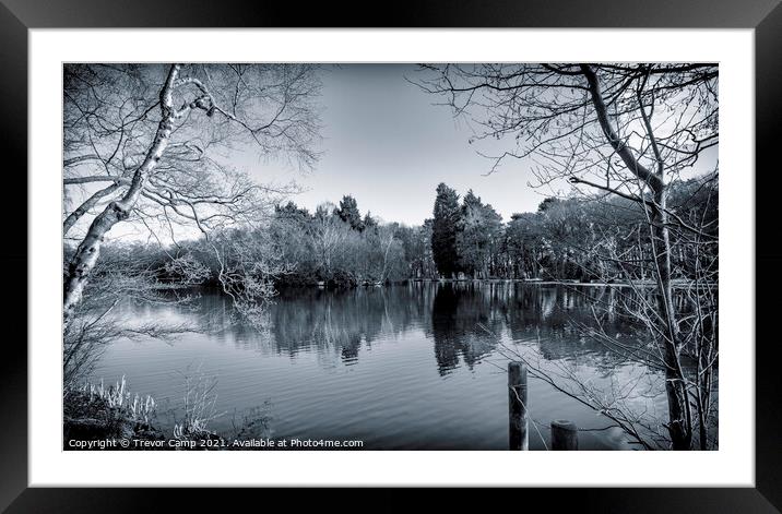 Across the Pond - Toned Framed Mounted Print by Trevor Camp