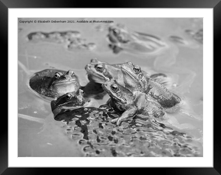 Frog Pond Framed Mounted Print by Elizabeth Debenham