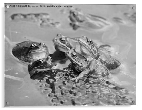 Frog Pond Acrylic by Elizabeth Debenham