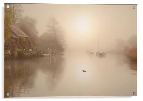 Misty Quay Acrylic by David Neighbour