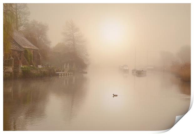 Misty Quay Print by David Neighbour