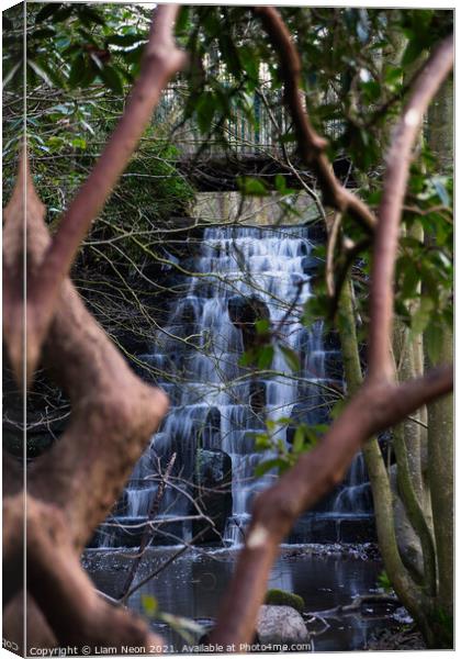 Waterfalls and Rhododendron Canvas Print by Liam Neon
