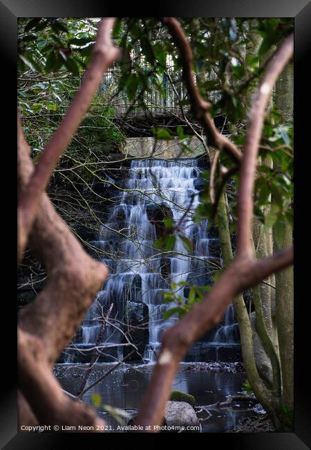 Waterfalls and Rhododendron Framed Print by Liam Neon