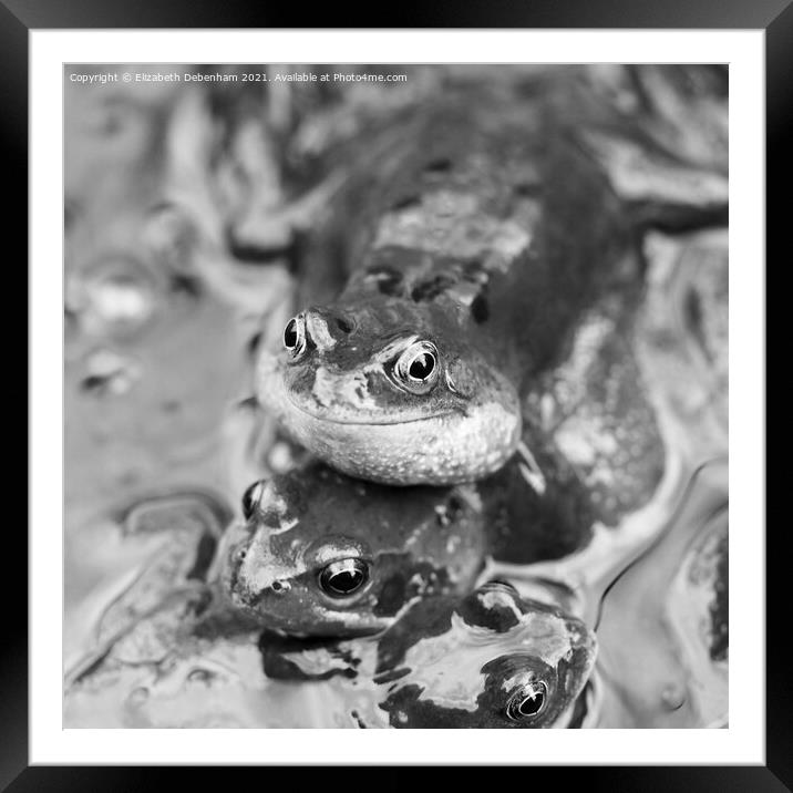Croaking Frog Framed Mounted Print by Elizabeth Debenham