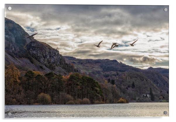 Geese over Derwent Water Acrylic by Scott Somerside