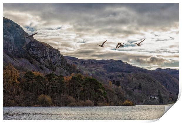 Geese over Derwent Water Print by Scott Somerside