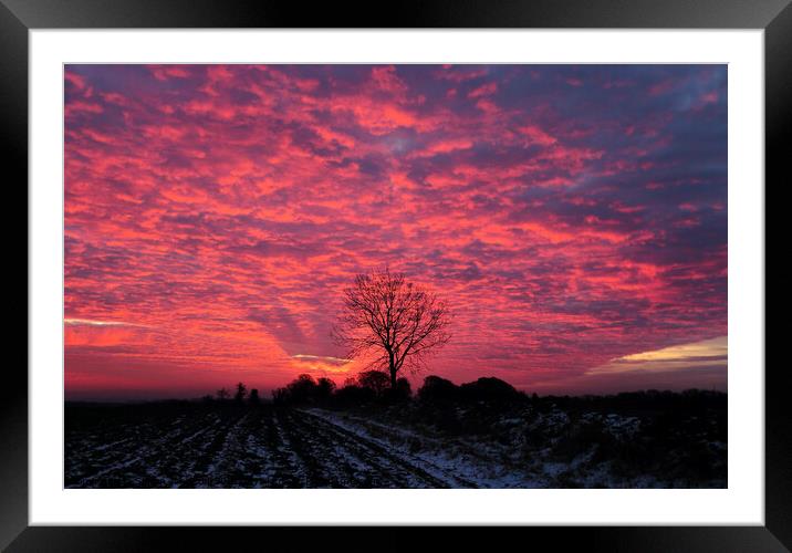 Cotswold sunrise Framed Mounted Print by Simon Johnson