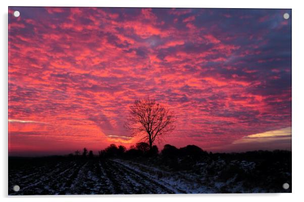 Cotswold sunrise Acrylic by Simon Johnson