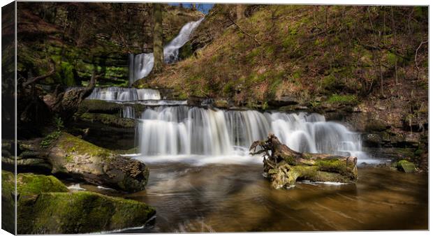 Scaleber Force Canvas Print by David Semmens