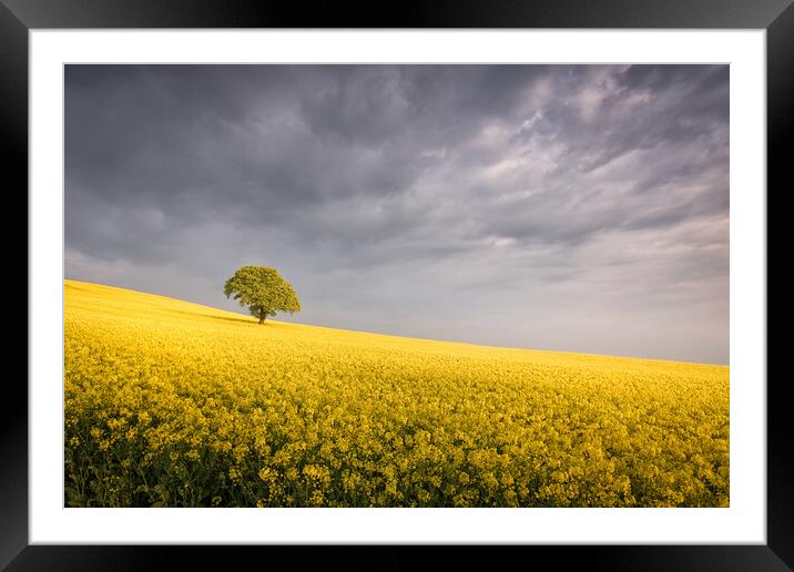Tranquility Framed Mounted Print by David Semmens
