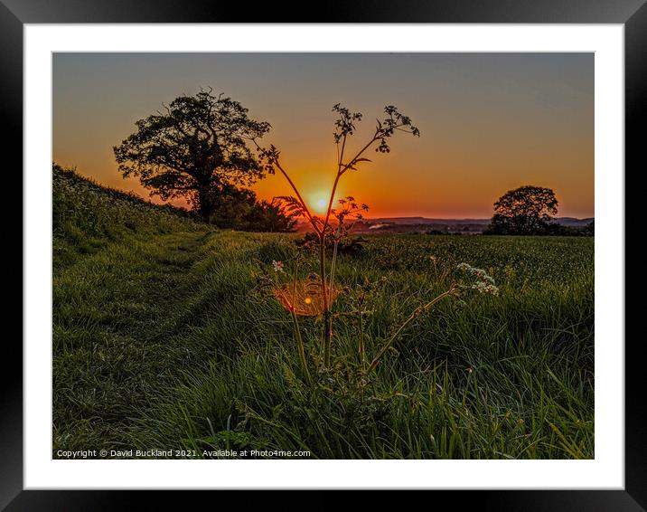 Kingston Lisle Sunset Framed Mounted Print by David Buckland