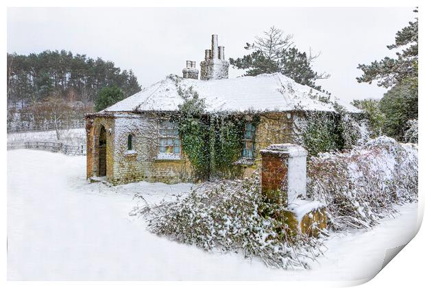 Snow covered abandoned cottage Print by David Hare