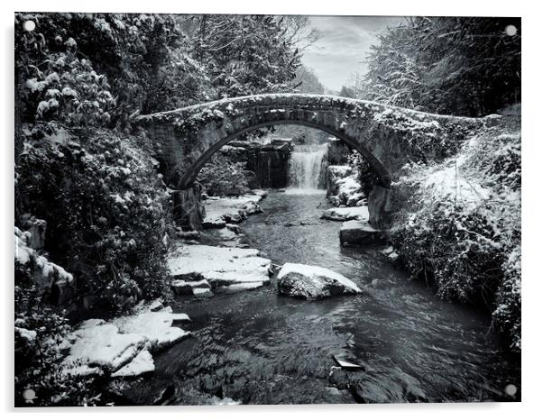 Jesmond Dene in the Snow Acrylic by Paul Appleby