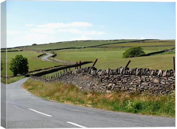 Winding Pennine country road Canvas Print by Roy Hinchliffe