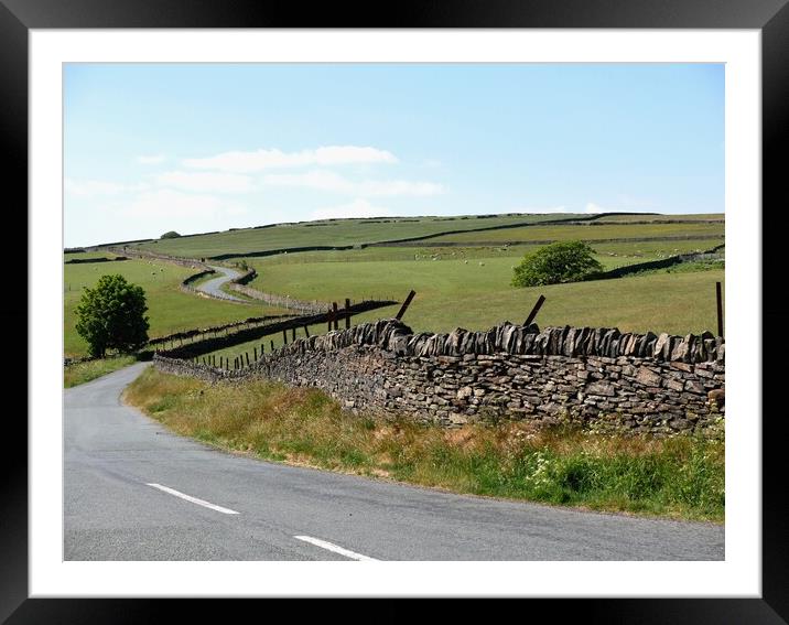 Winding Pennine country road Framed Mounted Print by Roy Hinchliffe