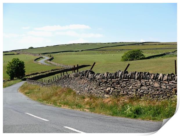 Winding Pennine country road Print by Roy Hinchliffe