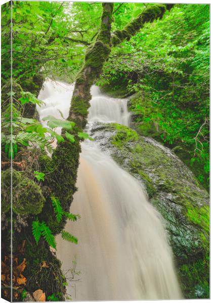 Spectacle Ee falls Canvas Print by Duncan Loraine