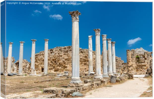 Roman columns at Salamis, Northern Cyprus Canvas Print by Angus McComiskey