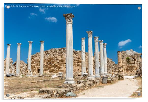 Roman columns at Salamis, Northern Cyprus Acrylic by Angus McComiskey