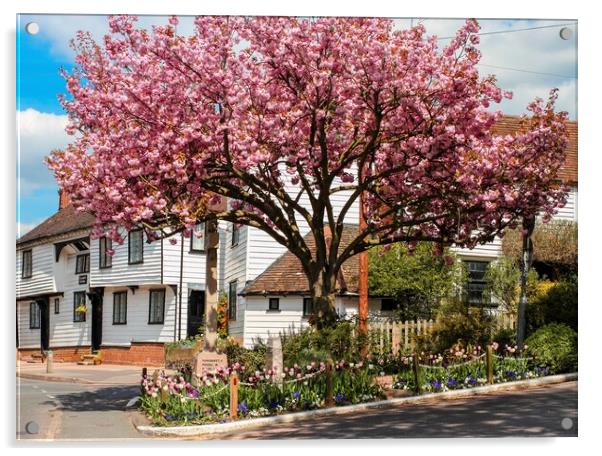  tree in blossom around war memorial Acrylic by tim miller