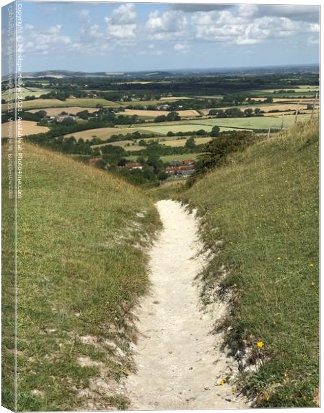 The Chalky Pathway Canvas Print by Penelope Hellyer